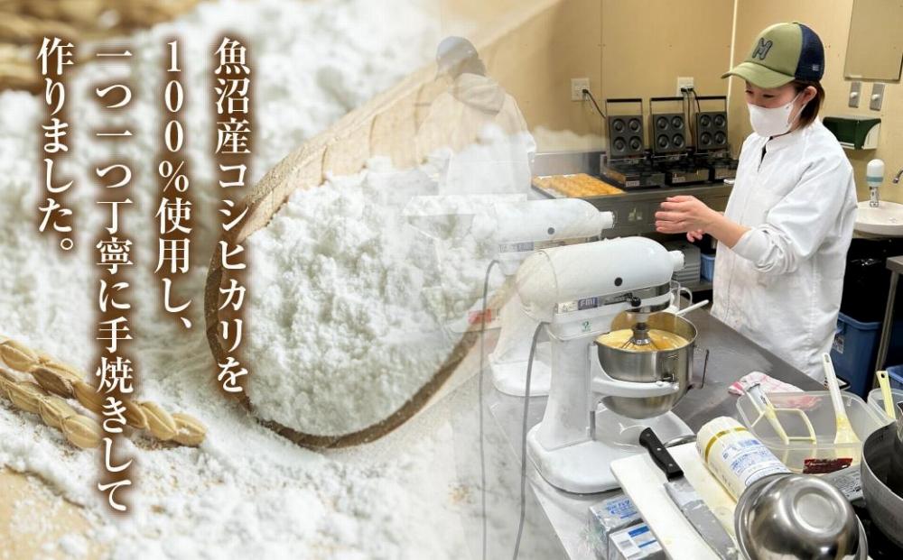 ES477 無地熨斗 グルテンフリー 米粉 玄米粉 ドーナツ 5種 20個セット ショコラ メープルアーモンド チーズ 桑茶あずき 黒ごま おやつ コパフーズ 熨斗 のし 名入れ不可 送料無料 新潟県