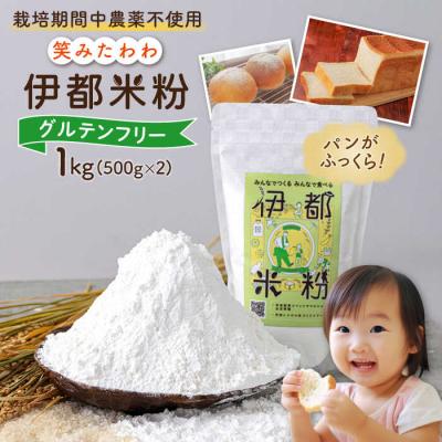 ふるさと納税 糸島市 伊都 米粉 笑みたわわ 1kg 500g×2 フルタク [AHN008]