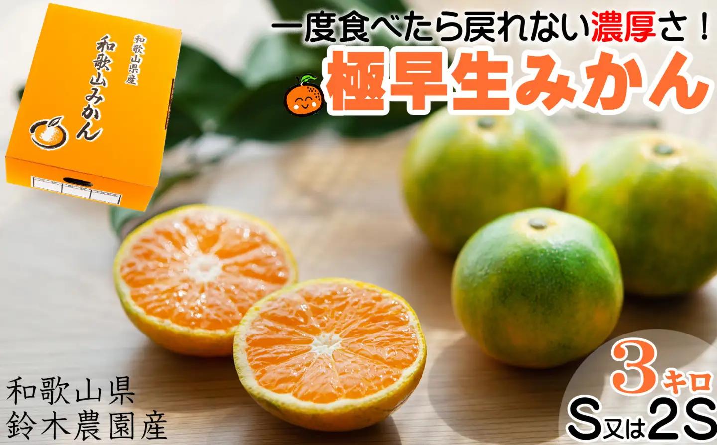 【極早生みかん】ゆら早生みかん 3kg 小玉サイズ（S・2S） 和歌山県海南市産 産地直送 YN26