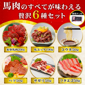 【阿蘇牧場】厳選 馬肉 盛り合わせ 6種 500g 赤身 フタエゴ ハツ サガリ ユッケ コウネ 特許製法 氷温熟成 低温調理 レア 小分け 焼くだけ簡単 専用醤油 タレ付 真空パック 熊本 小国町 