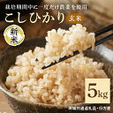 【ふるさと納税】 令和7年産新米 玄米 5kg 栽培期間中できるだけ農薬を減らした＜ こしひかり＞ 茨城県産 米 お米 コメ ご飯 コシヒカリ 食味豊か 甘み 旨み 冷めても 美味しい お弁当 向け 食卓常備 産地直送 茨城県 潮来市 ＜茨城県共通返礼品・行方市産＞ (A03-017)