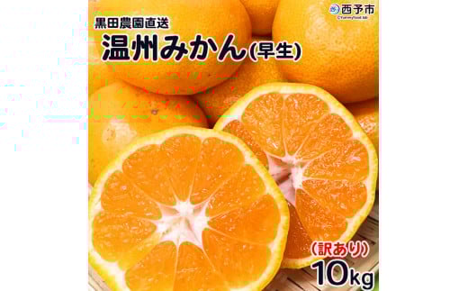 ＜訳あり 温州みかん 約10kg（サイズ不揃い）早生 黒田農園直送＞ 果物 柑橘 フルーツ 家庭用 自宅用 おすそ分け 食べて応援 特産品 西宇和 愛媛県 西予市【常温】『2025年11月中旬～12月下旬迄に順次出荷予定』