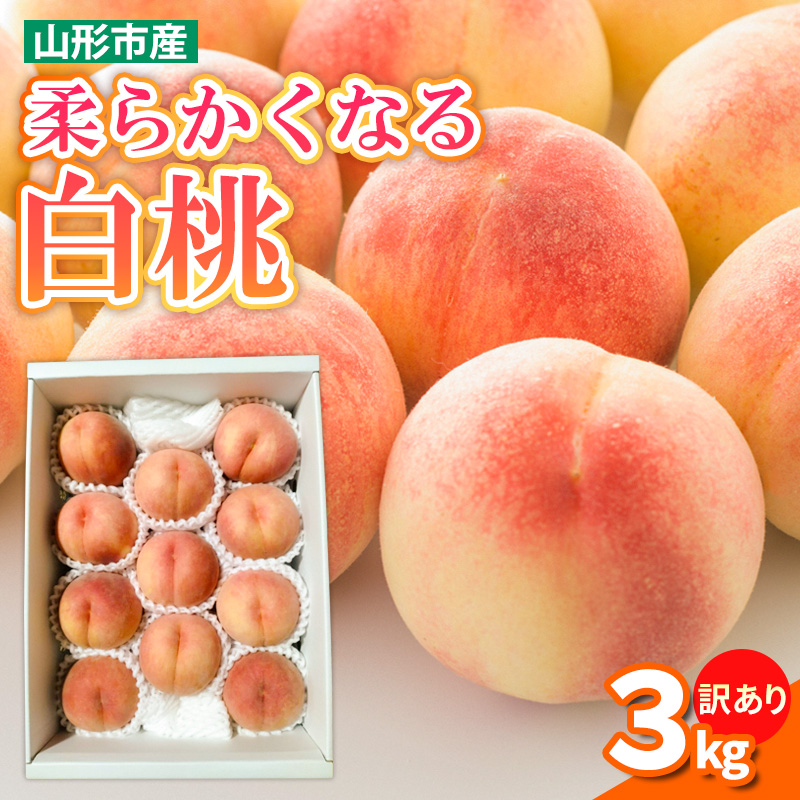 【訳あり】柔らかくなる 白桃 優品 3kg (8個～12個)【令和8年