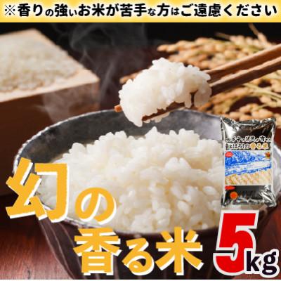 ふるさと納税 四万十町 香ばしい香りに感動!まぼろしの香る米　5kg