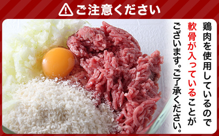 76-A4湯せんで簡単！デミグラス煮込みハンバーグ 10個セット（170g×10個）