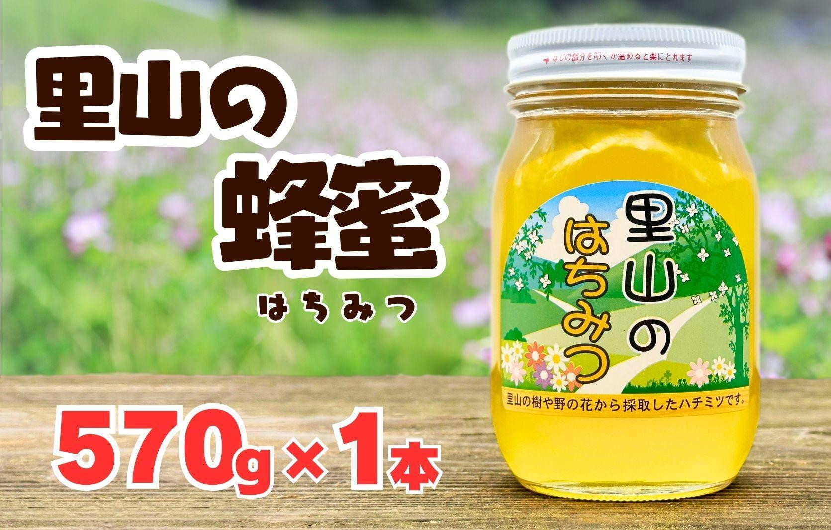 
            ありだ里山の蜂蜜 570g 化粧箱入り
          