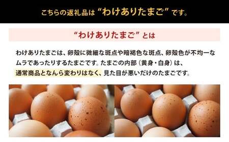 わけありたまご 康卵 180個 破損保証20個含む 赤 Mサイズ 卵 たまご 鶏卵 鶏 訳あり 国産 九州産 送料無料