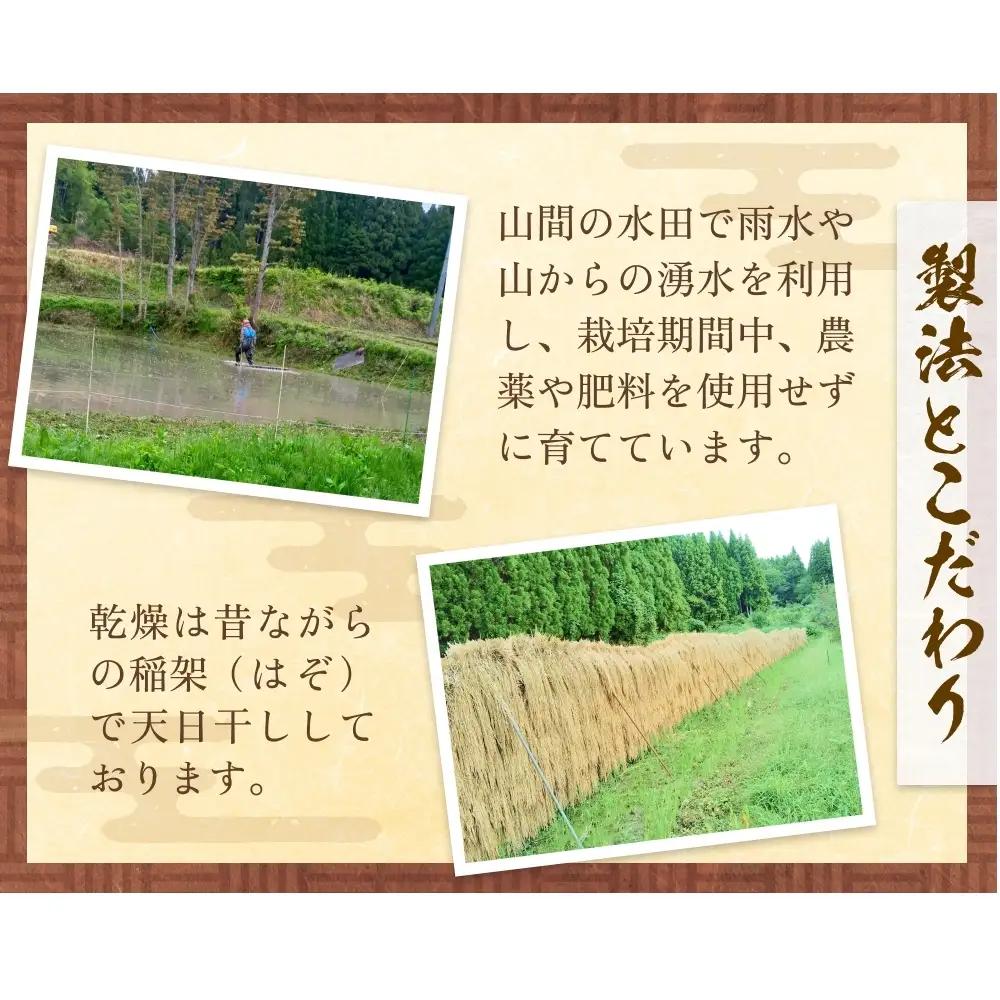 令和7年産 富山県産 ミルキークイーン はさがけ米 玄米 5kg 富山県 氷見市 米 ブランド米