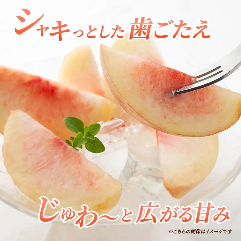 桃 先行予約 浅間水蜜桃 川中島白桃 約5kg 秀品 13～22玉 贈答品 フルーツ 果物 白桃 甘い 冷蔵