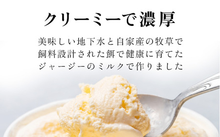 プレミアムジャージーミルクアイスクリーム 
 【 ふるさと納税 人気 おすすめ ランキング あいす アイス ミルク ジャージー 濃厚 北海道 大空町 送料無料 】 OSX001