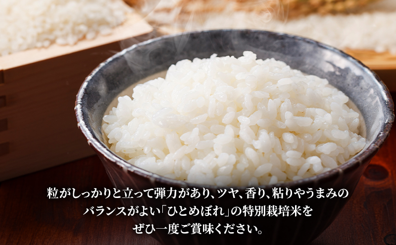盛岡 大櫻農園「ひとめぼれ 白米」5kg 特別栽培 一等米 2025年産 新米 お米 精米 白米 こめ コメ おこめ ごはん ブランド米 常温 国産 岩手県 岩手 盛岡市産 