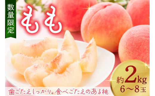 【数量限定】京都丹後産 桃 約2kg（6～8玉）（2026年7月中旬～発送）＜旬のおすすめ品種をお届け＞　歯ごたえのある かための桃 桃 もも モモ 期間限定 フルーツ くだもの 果物　AM00720