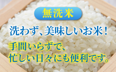 【先行予約】令和7年産新米　福井市産はなえちぜん 5kg【無洗米】「2025年8月下旬より順次発送」 [A-094013] / ハナエチゼン 華越前 花えちぜん 刈り取り時期 早生 品種 福井県産 新