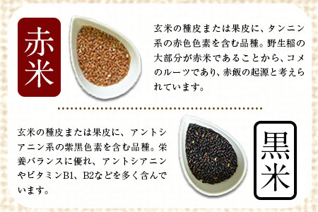 古代米(赤米/黒米/緑米) 900g 熊本県荒尾市産 赤米300g×1袋 黒米300g×1袋 緑米300g×1袋 つゆくさ農園 《30日以内に出荷予定(土日祝除く)》