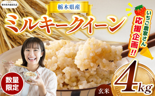 【栃木県共通返礼品】【先行予約】【定期2回】  訳あり 数量 限定 定期便 令和8年度産 ミルキークイーン 約 4kg | とちぎの星 ミルキークイーン お米 kome okome ご飯 米 玄米 白米 ごはん おいしい ふるさと納税 那珂川町 栃木県 送料無料