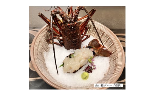 常陸乃国いせ海老 1尾(600～700g) 冷凍【1597555】