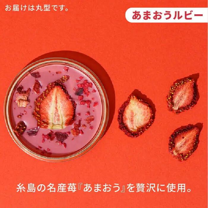 【玉露】糸島ドライフルーツチョコレート3種4個セットBOX《糸島》【itoshimacco《（株）やました》】 [ARJ018]