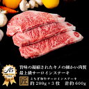 【ふるさと納税】とちぎ和牛 A5サーロイン 約200g×3枚 ｜ 国産 和牛 牛 肉 生産者 認定 銘柄 A5 旨味 うまみ きめ細かい サシ 霜降り とろける 品質 柔らかく 美味しい おいしい 芸術品 特産品 栃木県 真岡市 送料無料 栃木県共通返礼品