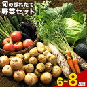 【ふるさと納税】旬の新鮮野菜たっぷり 選べる 6 8品セット★ 定期便も選べる 旬の野菜セット 冷蔵 詰め合わせ 季節の野菜 安心・安全の野菜セット 御船町産《30日以内に出荷予定(土日祝除く)》