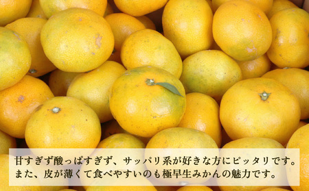 愛媛 みかん 極早生 家庭用 9kg 植村農園 温州みかん 温州 蜜柑 さっぱり 爽やか 果物 フルーツ 柑橘 農家直送 産地直送 数量限定 国産 愛媛 宇和島 B010-153001