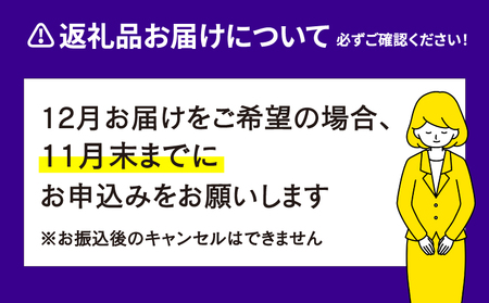 バスクチーズケーキ 1個 こはく製菓 ［ 愛媛 スイーツ ケーキ おいしい 人気 おすすめ お取り寄せ お菓子 洋菓子 ふるさと納税 ］ J015-197001