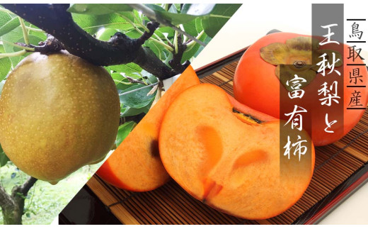 
                  王秋梨と富有柿のセット 3kg
                