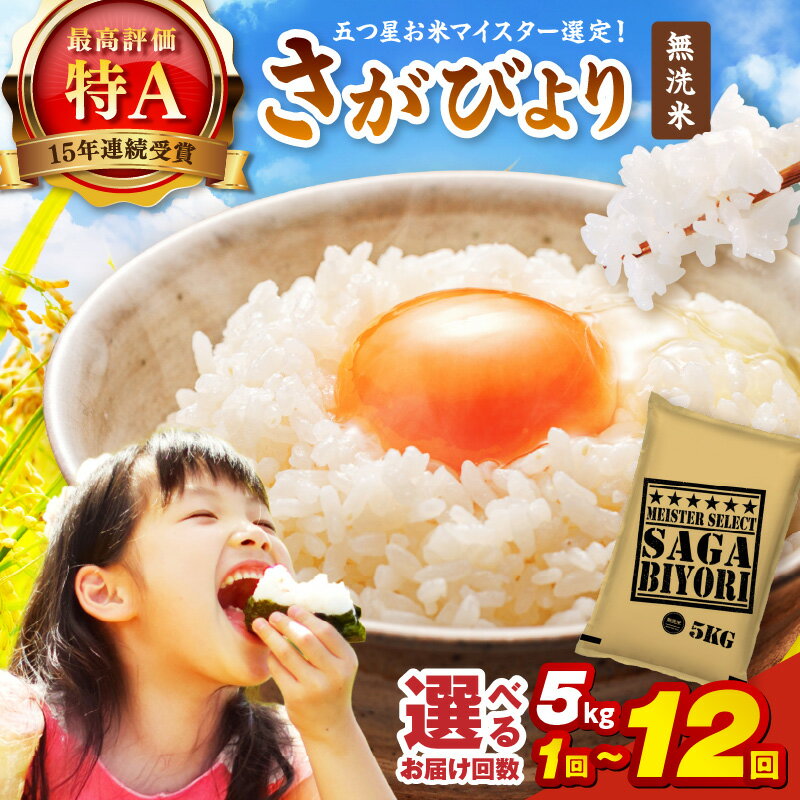 【ふるさと納税】【無洗米】さがびより5kg《マイスターセレクト》＜回数が選べる／1回・3回・6回・12回 ＞【 ふるさと納税 米 白米 無洗米 さがびより 特A 定期便 5kg 15kg 30kg 60kg 】