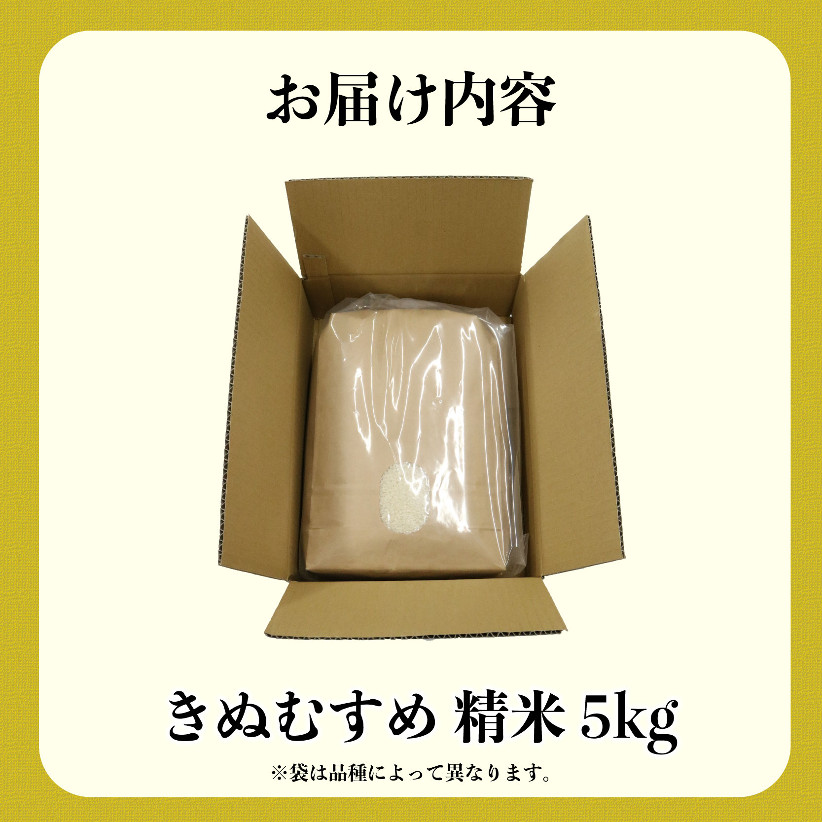 新米 米 きぬむすめ 5kg 農家直送 特別栽培米 精米 令和7年度産 お米 新生活 贈り物 人気米 ご飯 白米 コメ 贈答 静岡県 藤枝市
