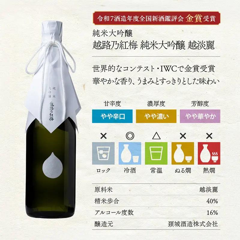 日本酒 【令和7酒造年度全国新酒鑑評会 金賞受賞】 越路乃紅梅 越淡麗 かたふね 純米大吟醸 720ml 2本 セット お酒 おすすめ 酒 ふるさと納税 新潟 新潟県産 にいがた 上越 上越産