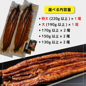 数量限定 国産 鰻 土佐はちきん うなぎ 蒲焼き 150g以上×2尾 | 無投薬 特上 極上 めす 贈答 南国市
