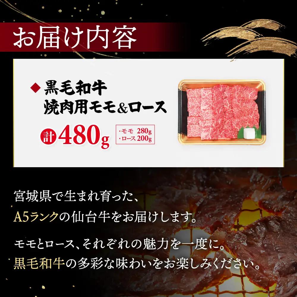 【古今東北】 宮城県産 特選仙台牛 A5ランク 美らいす和牛 焼き肉用セット（モモ・ロース） 480g（ロース 200g / もも 280g）【30106】