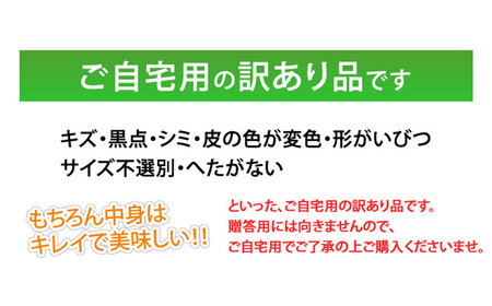 ＜ R8年熊本地震復興支援 ＞訳あり メロン 品種おまかせ 約4kg （2～7玉） 緑果肉 赤果肉 白果肉 めろん 果物 くだもの フルーツ 国産 九州 熊本県 熊本市 常温 【2027年5月下旬～7