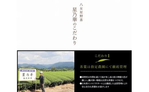 八女星野 深蒸し茶(6本詰め)