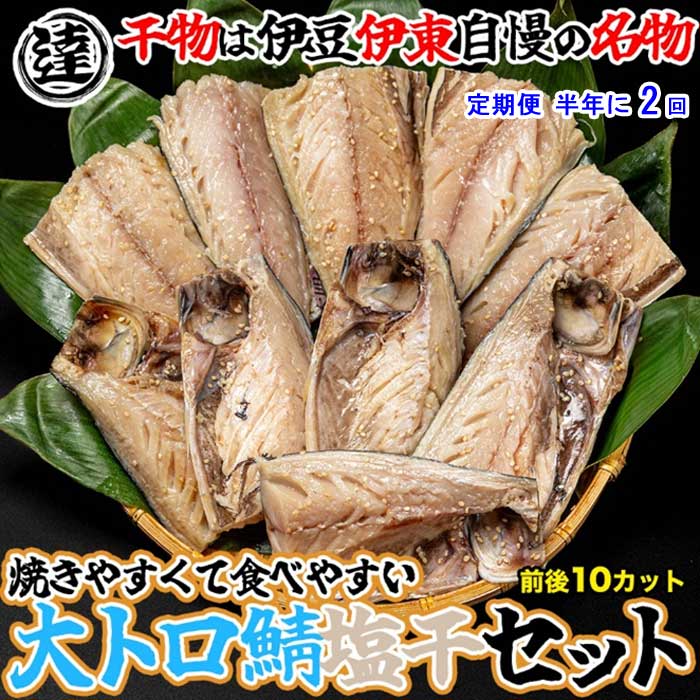 G2*【ふるさと納税】【定期便 全2回】伊豆・伊東 丸達水産 天然しおさば10切セット 食べやすいハーフカット 半年に2回