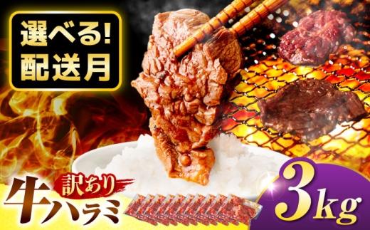 【12月発送】【訳あり×大容量】味付けハラミ 3kg(250ｇ×12パック) / ハラミ 牛肉 焼肉 / 御嵩町 / 馬力家 [AVBO073-12]
