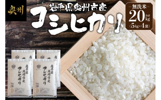 奥州市産 コシヒカリ 無洗米 令和7年産 20kg お米 ご飯 精米 節水 米 着日指定可 【第三ライスセンター】 [BC005]