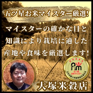 新米 先行予約 さがびより 佐賀県産 無洗米 10kg (5kg×2) 五つ星お米マイスター厳選 米 ※配送不可：離島