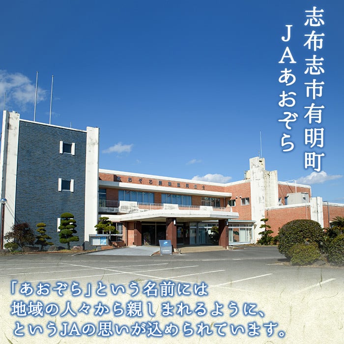 【数量限定】【訳あり】【日本農業新聞一村逸品大賞受賞】鹿児島県産紅はるかで作った干し芋(熟し芋)はねだし(計1.5kg・150g×10袋）a7-020