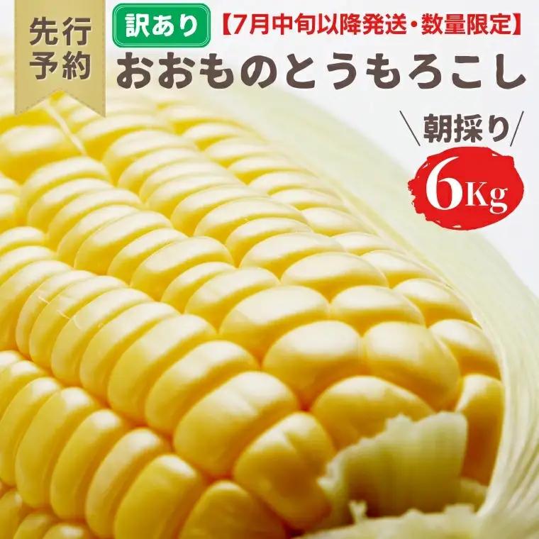 とうもろこし おおもの 6kg 訳あり 農家直送 朝採り【 先行予約2027年7月中旬発送】