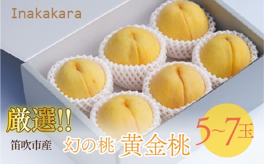 
                  Inakakara厳選!幻の桃「黄金桃」 5～7玉(計2～2.1kg) 192-035-26y
                