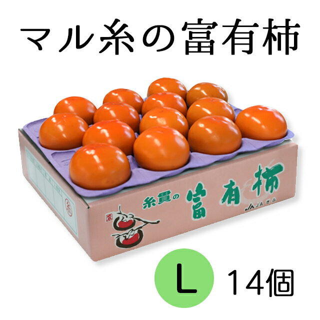 【ふるさと納税】【先行予約】令和7年産《柿の王様》マル糸の 富有柿 Lサイズ ( 14個入 ) 11月下旬より発送予定 [mt703_25]｜かき 富有柿 ふゆうがき フルーツ カキ 果物 くだもの 産地直送 岐阜県 本巣市 15000円