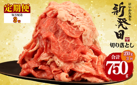 【3回定期便 】牛肉 切り落とし 新発田牛 計750g 切り落とし enomoto023