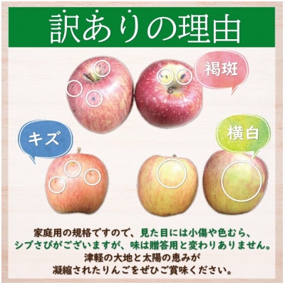 糖度13度以上保証!サンふじ訳アリ家庭用約5kgりんご ※離島・沖縄は配送不可【配送不可地域：離島・沖縄県】