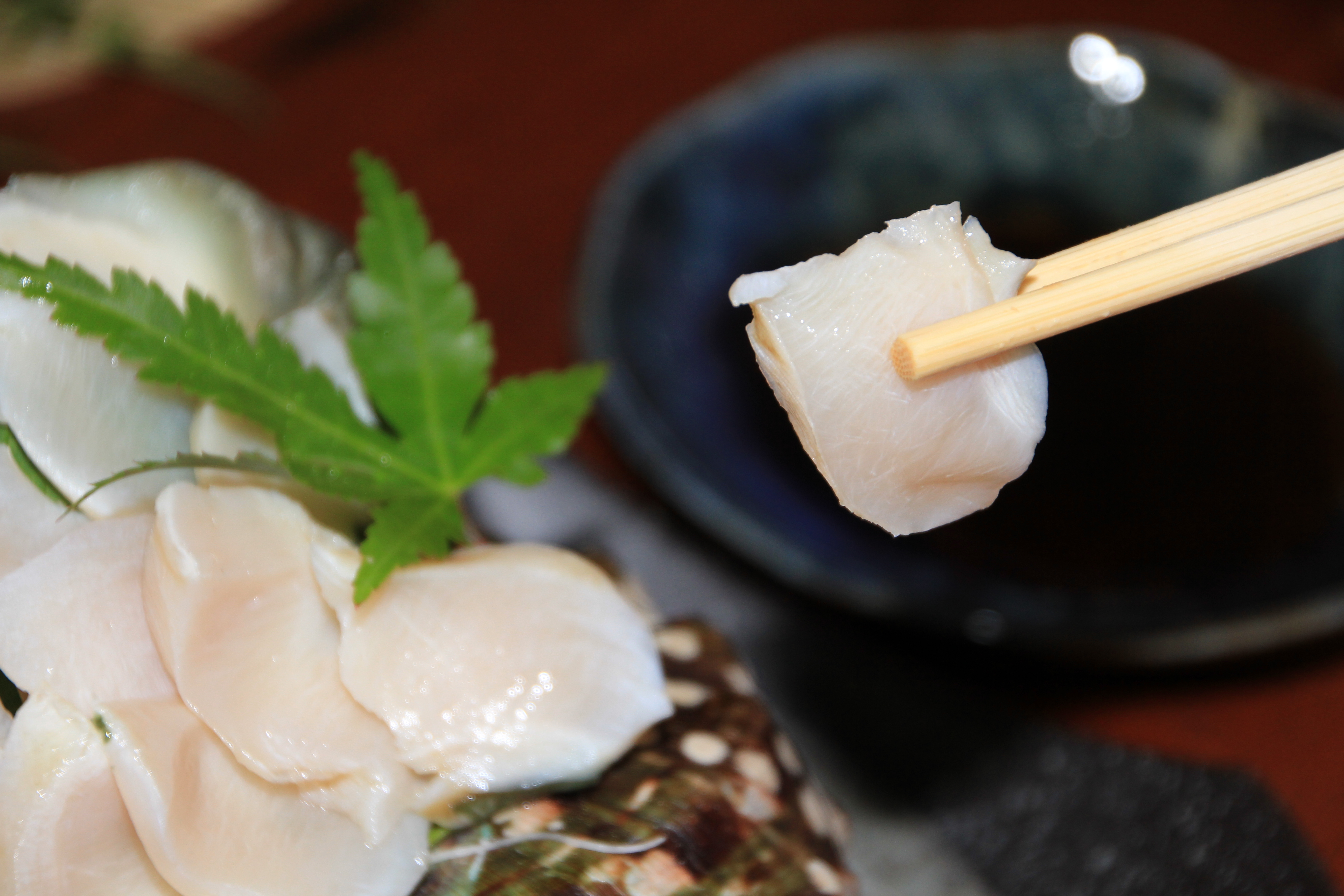 【2025年12月以降発送】【真空冷凍】夜光貝の刺身500ｇ・ソデイカ500ｇセット