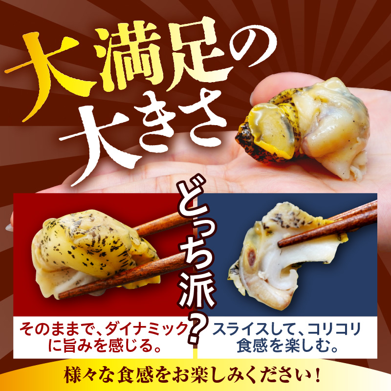 浜茹でつぶ貝 250g【er001-116-b】