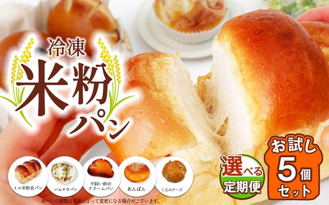 
                  【 選べる回数 1回・3回・6回】　冷凍米粉パン お試し5個セット | 定期便 定期 穴太商店 あのう パン 米粉パン ぱん 米粉 冷凍 冷凍食品 詰合せ セット 5種 自家製 おためし オススメ 千葉県 君津市 きみつ
                
