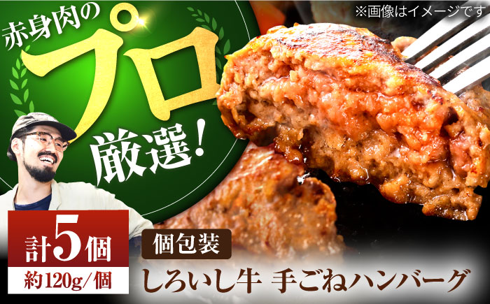 【牧場直送】佐賀県産しろいし牛 ボリュームたっぷり手ごねハンバーグ 120g×5個【有限会社佐賀セントラル牧場】おかず [IAH016]