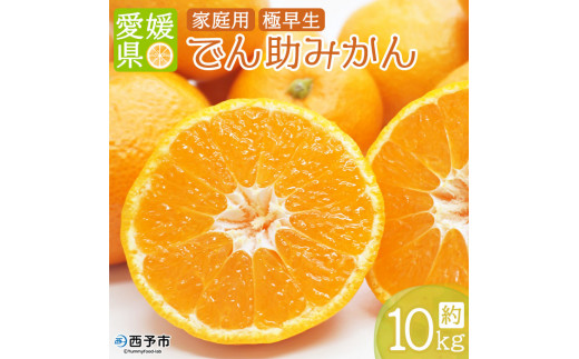 ＜でん助農園の温州みかん（極早生 家庭用）約10kg＞ 果物 フルーツ ミカン オレンジ 柑橘類 うんしゅうみかん 自宅用 西宇和産 直送 国産 特産品 産地直送 食べて応援 愛媛県 西予市 【常温】『2026年10月下旬～11月中旬迄に順次出荷予定』