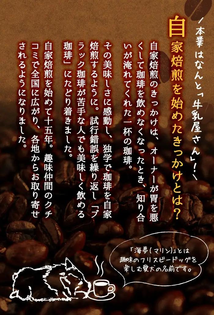 No.202 ＜コーヒー豆＞自家焙煎コーヒー「海夢珈琲(マリンコーヒー)」(200g×3袋・計600g)飲料 コーヒー コーヒー豆 自家焙煎 ブレンドコーヒー オリジナルブレンド 常温保存【HARU工