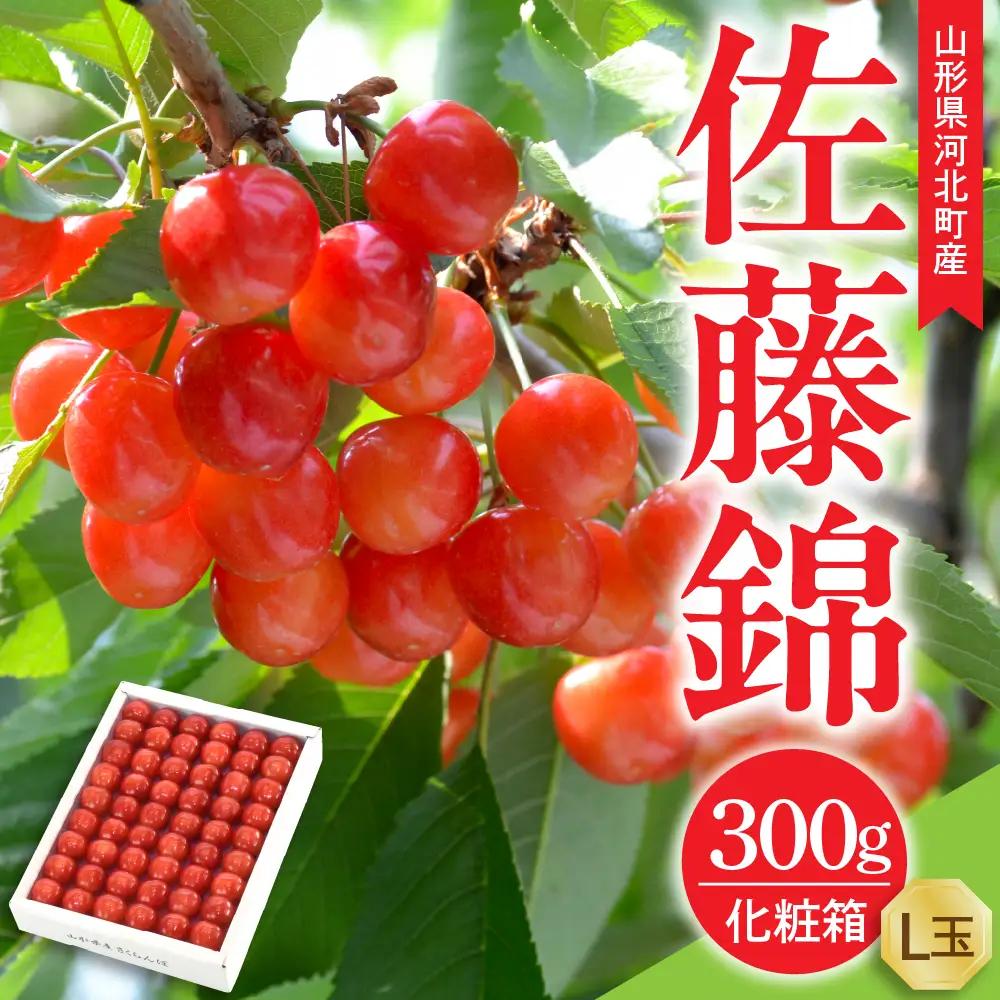 令和9年産 さくらんぼ 佐藤錦 特秀品 300g さくらんぼ